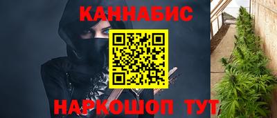 МДПВ Чапаевск