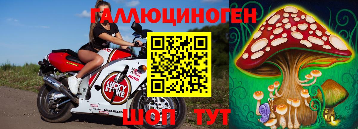 Псилоцибиновые грибы мицелий  Вход с VPN  Уссурийск 