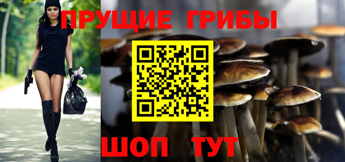 Галлюциногенные грибы GOLDEN TEACHER Уссурийск